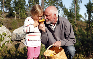 En man och ett barn i skogen med en svampkorg.