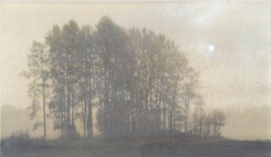 foto i gråskala med en träddunge.
