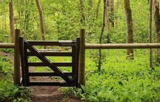 Garphyttans nationalpark