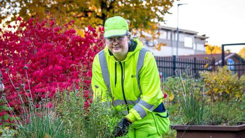 Regionservice parkenheten