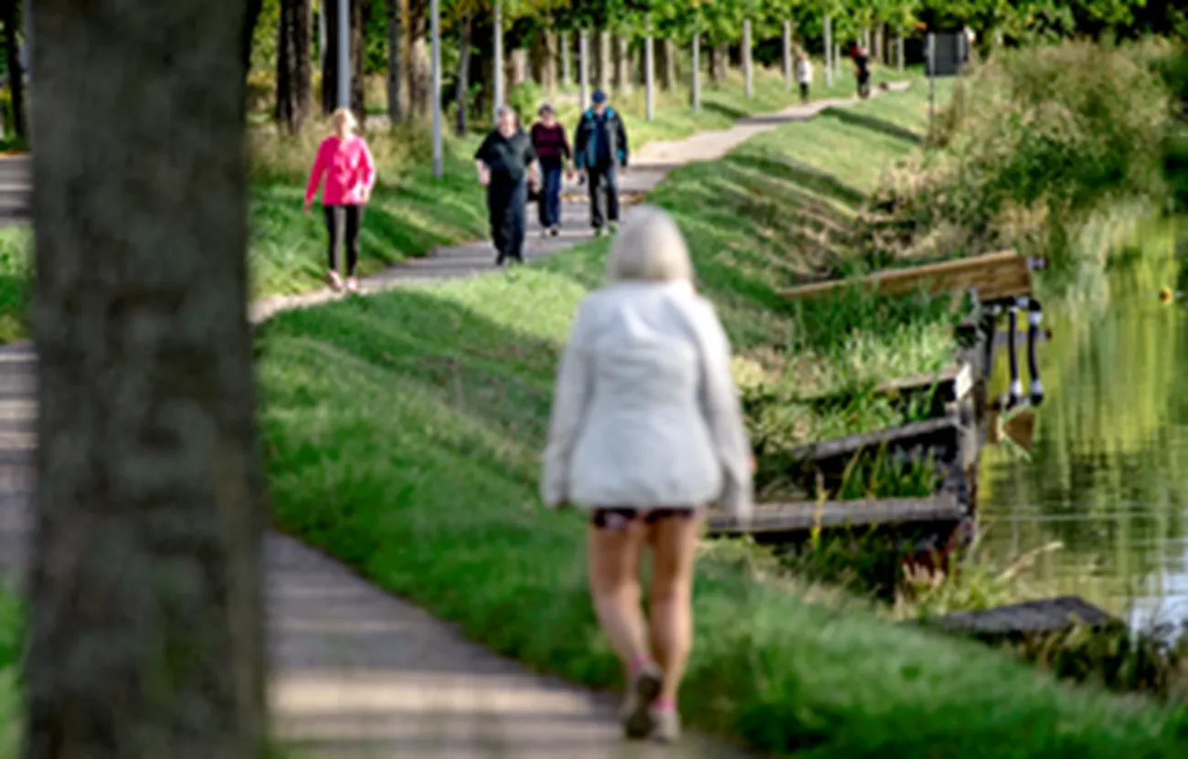 Människor som promenerar vid åkanten.