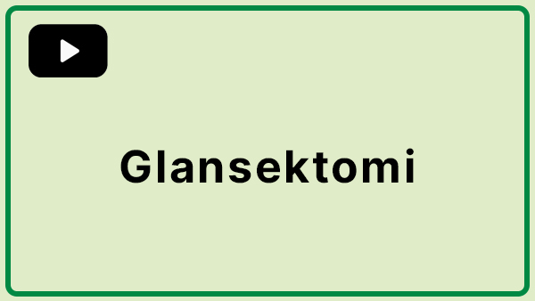 Rubrik som beskriver innehållet i filmen.