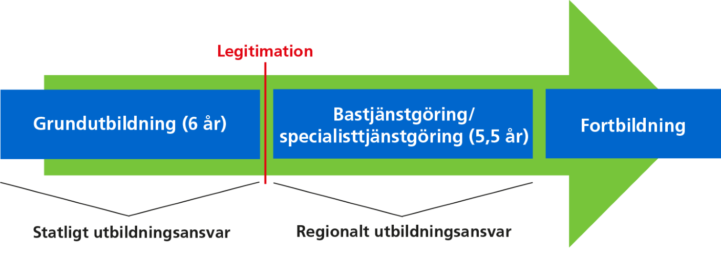 Efter grundutbildningen ges legitimation och därefter påbörjat bastjänstgöring 5,5 år.