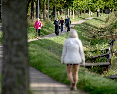 Människor som promenerar vid åkanten.