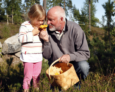 Barn och morfar plockar svamp