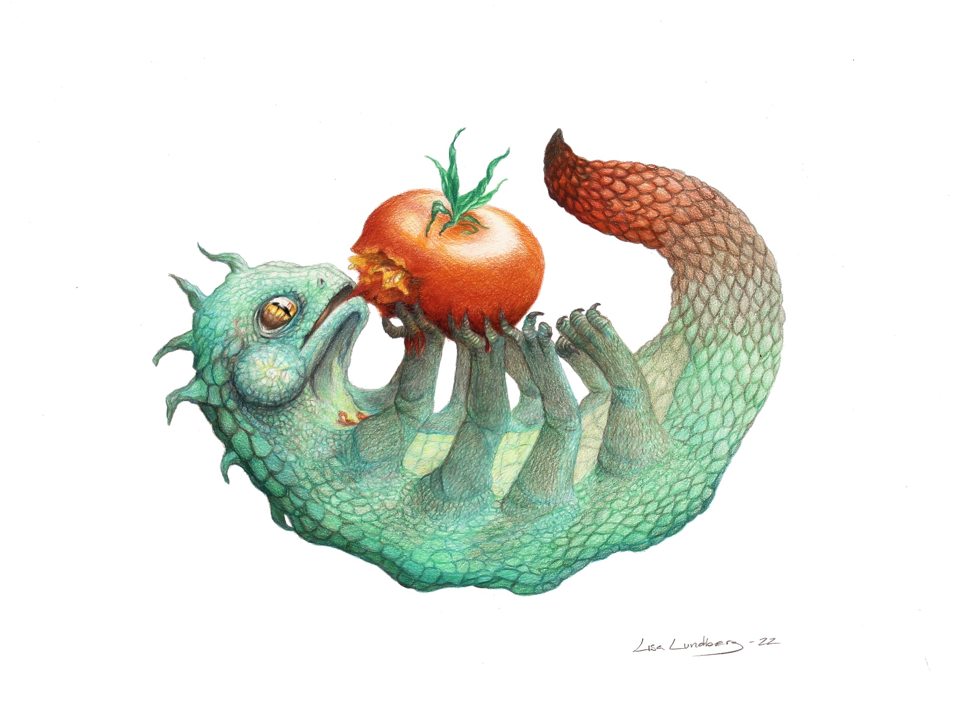 Teckning av grön, åttabent drake som ligger på rygg och äter en röd tomat. Vit bakgrund.