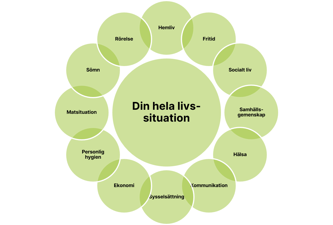 Illustration som beskriver de områden en SIP kan ha mål inom: Hemliv, fritid, socialt liv, samhällsgemenskap, hälsa, kommunikation, sysselsättning, ekonomi, personlig hygien, matsituation, sömn och rörelse.