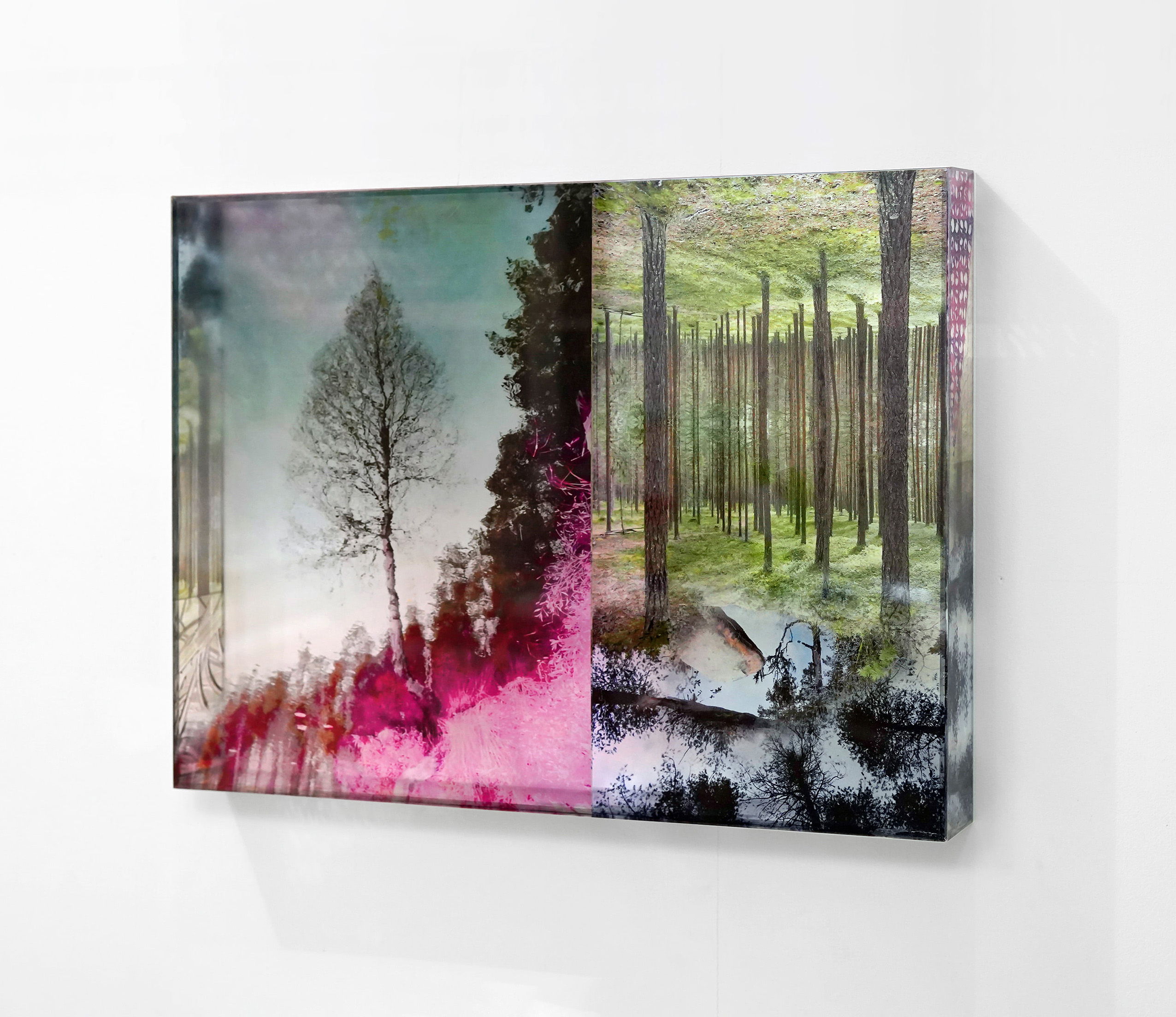 Fotografi av tavla med bearbetat fotografi av skog och träd. Rosa, blått och grönt.