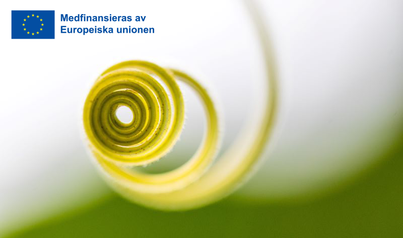 En växt som växer i en spiral. EU-flaggan med texten "medfinansieras av Europeiska unionen"