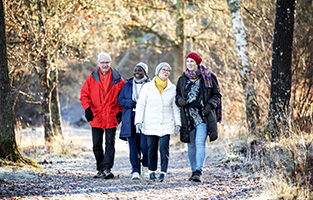 Fyra personer av olika kön och etnicitet går brevid varandra  på en frostig väg mellan frostiga  träd. Solen skiner ner på personerna. 