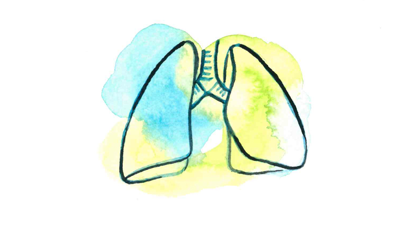 Illustration av ett par lungor målad med vattenfärg.