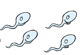 Illustration av spermier