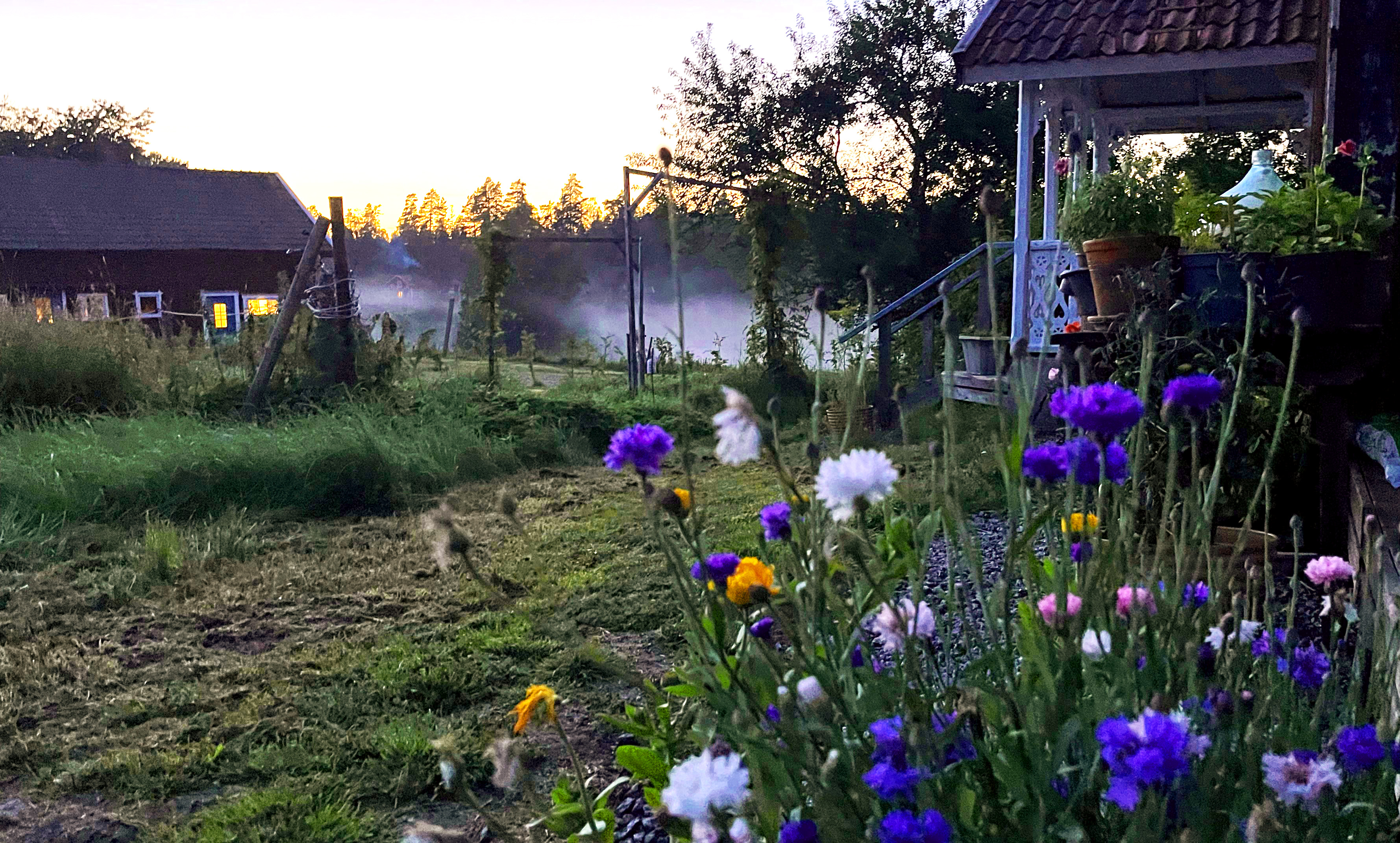 Röd torparstuga i morgondimma i Tivedens urskog