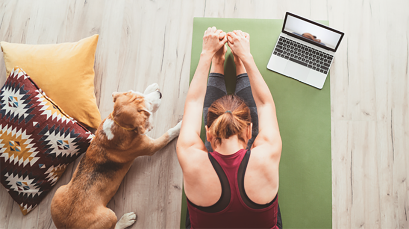 Internetbaserad yoga. Foto: Shutterstock